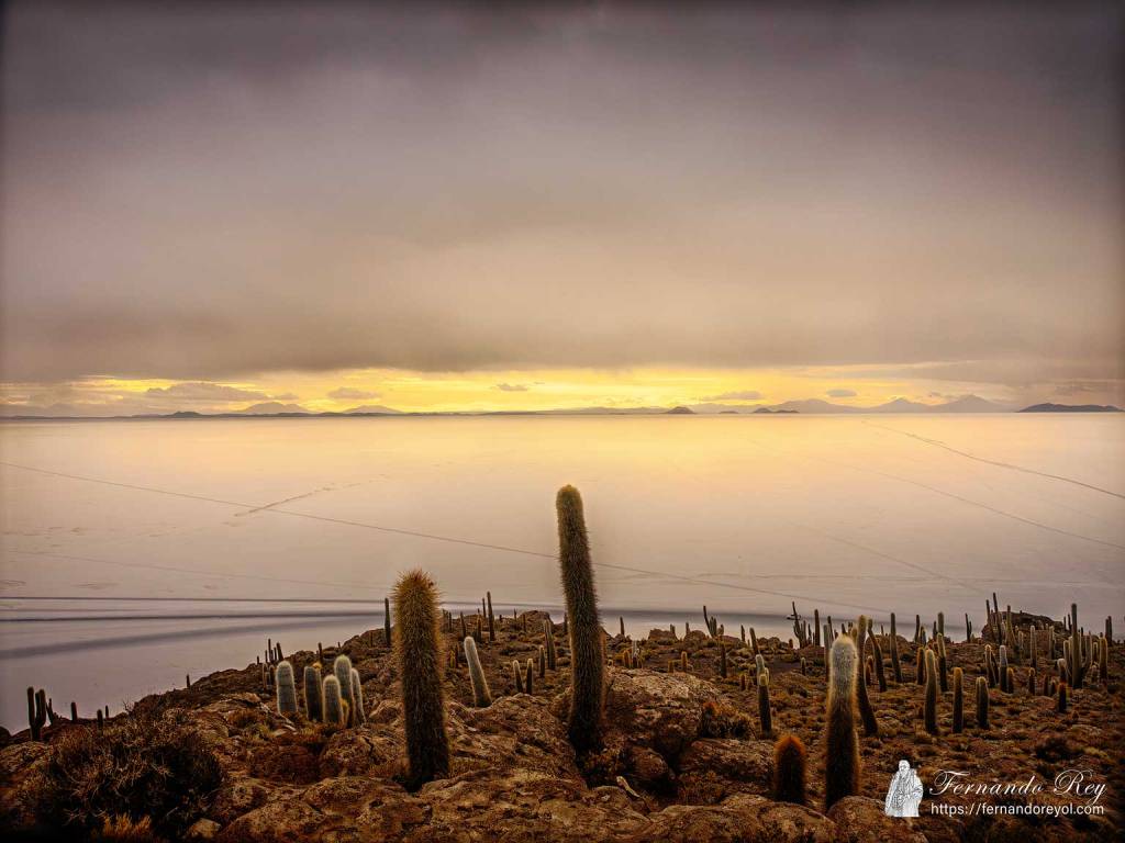 Uyuni